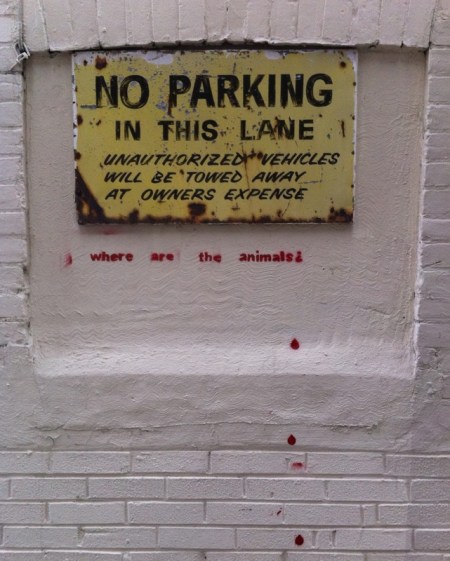 where are the animals?