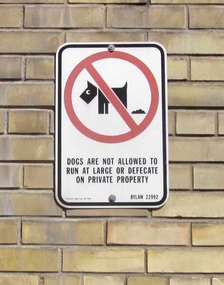 Dogs are not allowed to run at large or defecate on private property Dogs are not allowed to run at large or defecate on private property